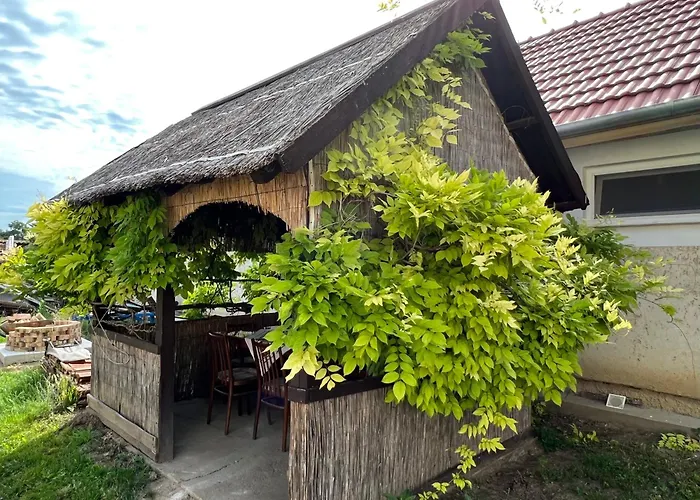 Aranylak Vendeghaz * Abádszalók